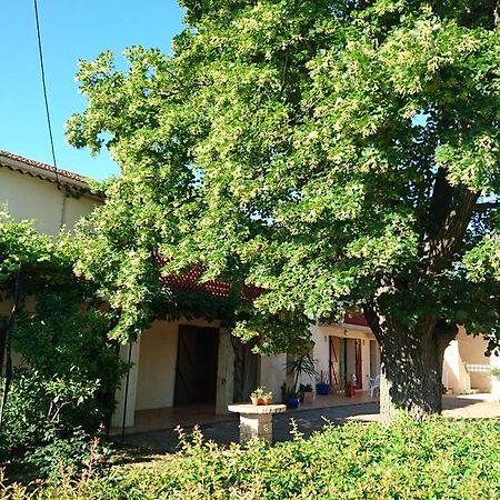 Les Prairies Mas Roux Guest House Raphèle Exterior foto